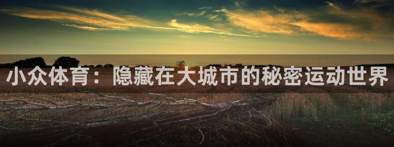 德国欧亿体育官方正版app集团:小众体育:隐藏在大城市的秘密